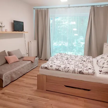 Iris Apartment Poděbrady